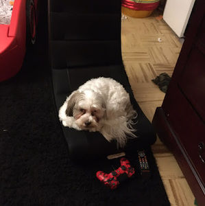 Meet your Posher, Mingli